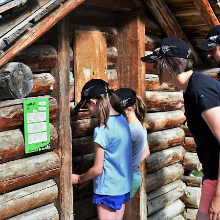 Les Erables 361 By Interhome Lägenhet Zinal