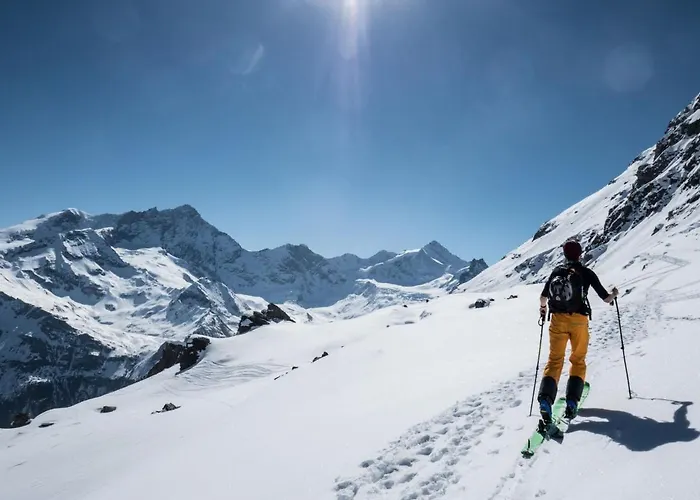 Les Erables 361 By Interhome Lejlighed Zinal