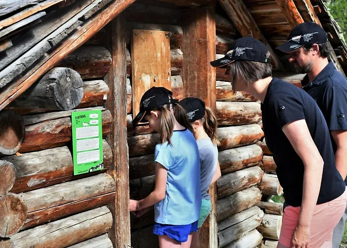 Les Erables 361 By Interhome Lejlighed Zinal